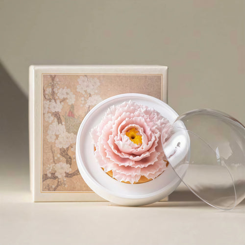 Blush pink porcelain carnation set with white base, dome and box