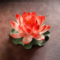Crimson red Dehua porcelain lotus incense holder