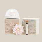 Dehua porcelain lotus set with clear dome, incense tube and gift box
