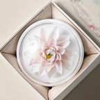 White porcelain lotus arranged inside its presentation box