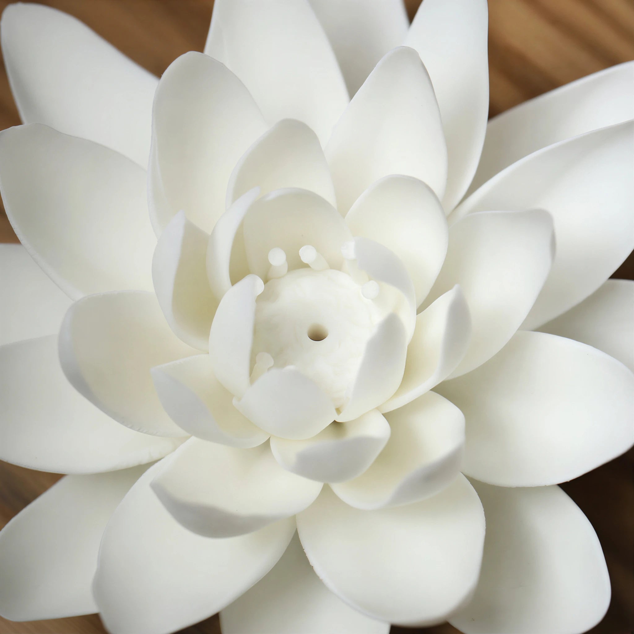 Close view of the layered white porcelain lotus petals