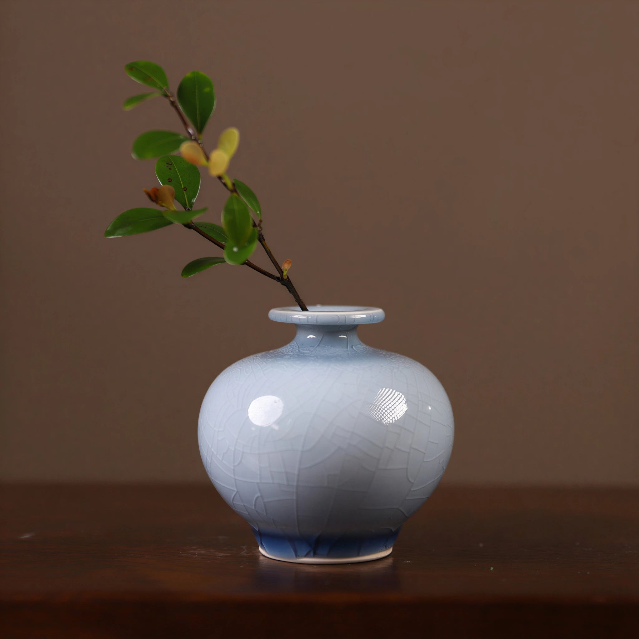 Pale-blue pomegranate-form crackle-glaze vase holding a small green branch.