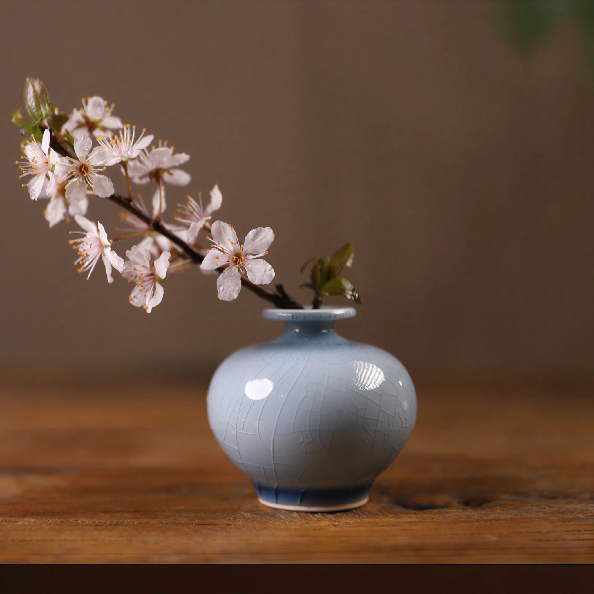 Pale-blue pomegranate-form porcelain vase with a small blossom branch.