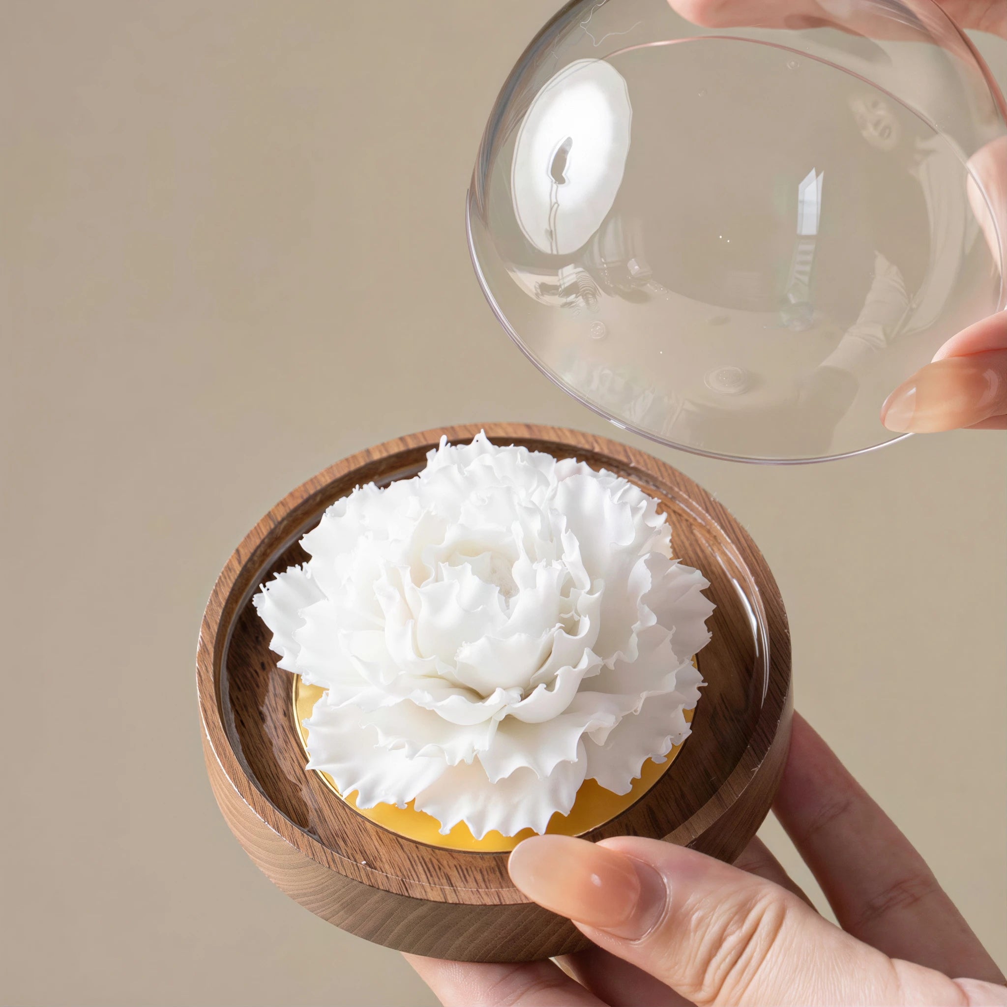 Clear dome being placed over the white porcelain carnation
