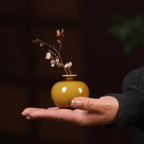 Round luminous yellow porcelain vase with blossom branch held in one hand
