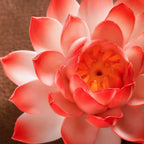 Yellow stamens and central incense aperture inside the lotus