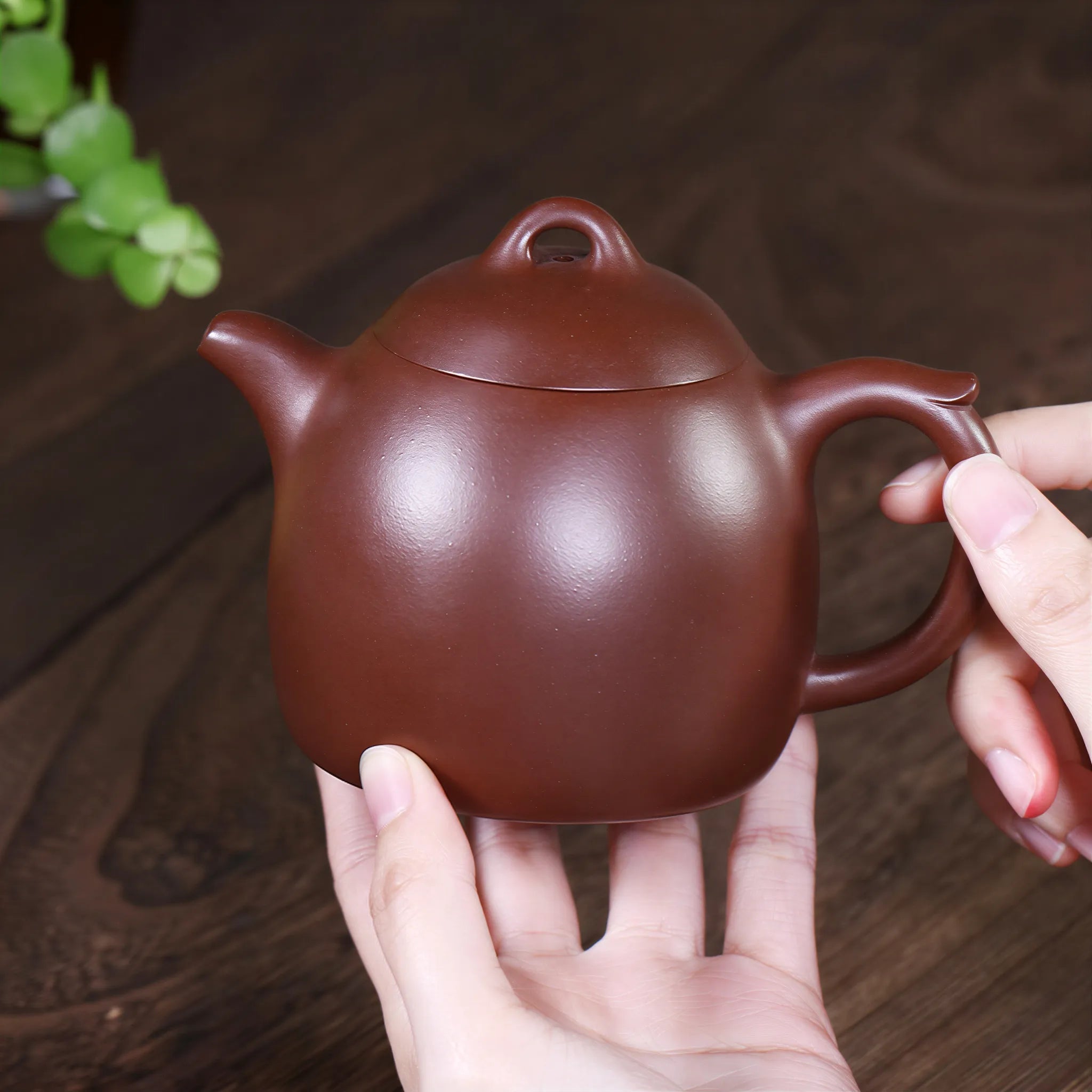 1970s Vintage Zini Qin Quan Teapot