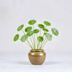 Wide-mouth maple-yellow mini porcelain vase with small hydroponic cuttings.