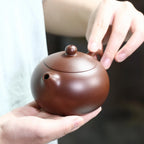 Rounded Xishi teapot held in one hand